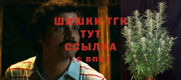 ALPHA-PVP Мегион