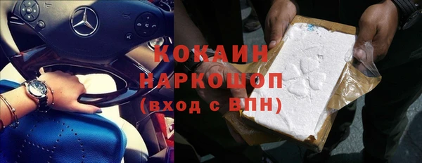 мдпв Няндома