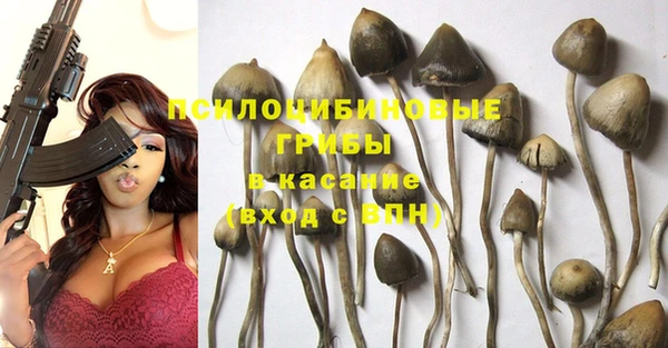 спайс Абдулино